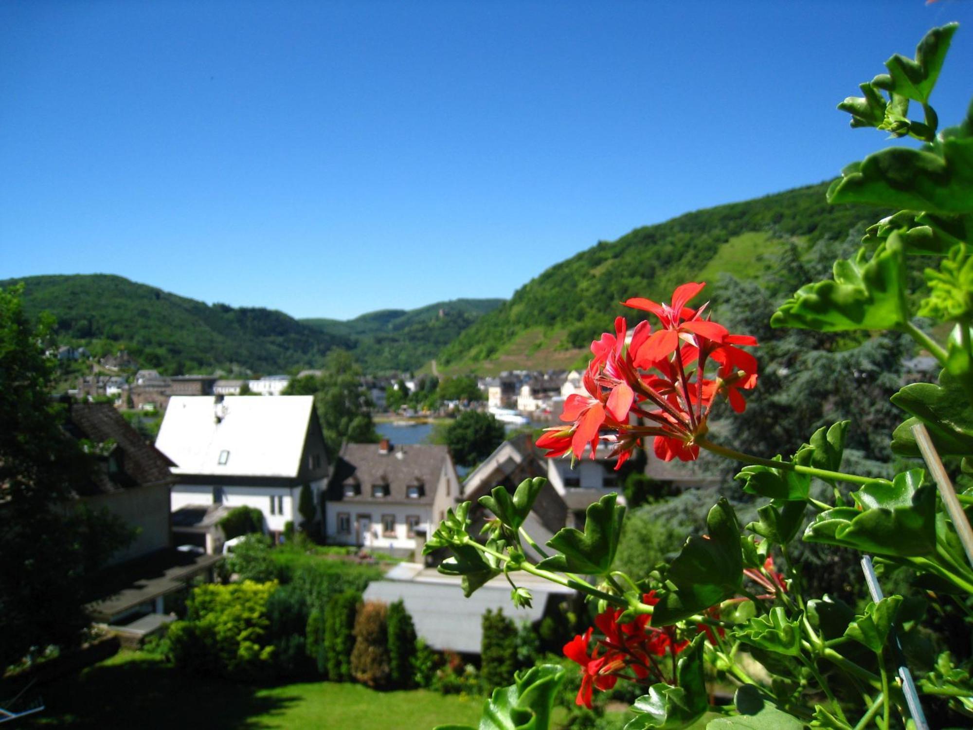Ferienwohnung Burgblick บุลลาย ภายนอก รูปภาพ